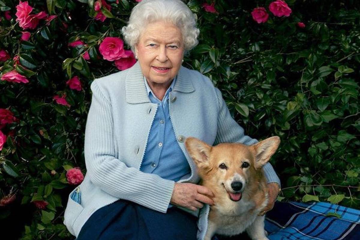 Rainha Elizabeth II e cachorro