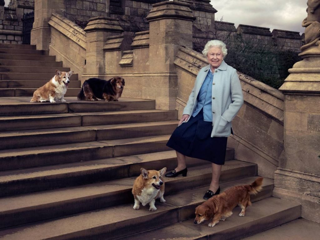 Rainha Elizabeth II e cachorros