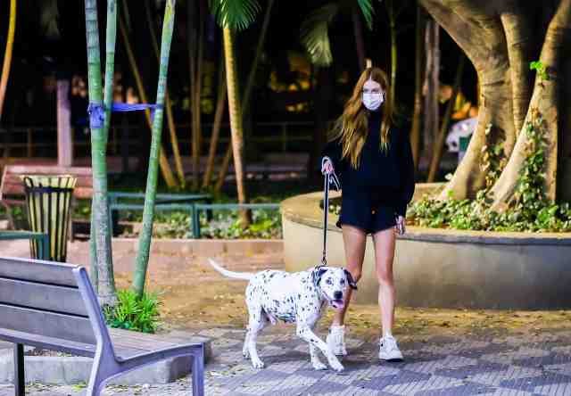 Marina Ruy Barbosa e cachorro