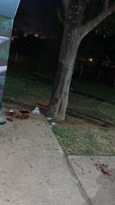 poça de sangue