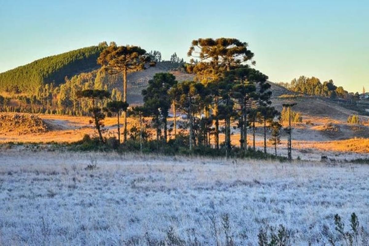 Quarta começa com frio abaixo de 0°C e pode terminar com neve em SC ...