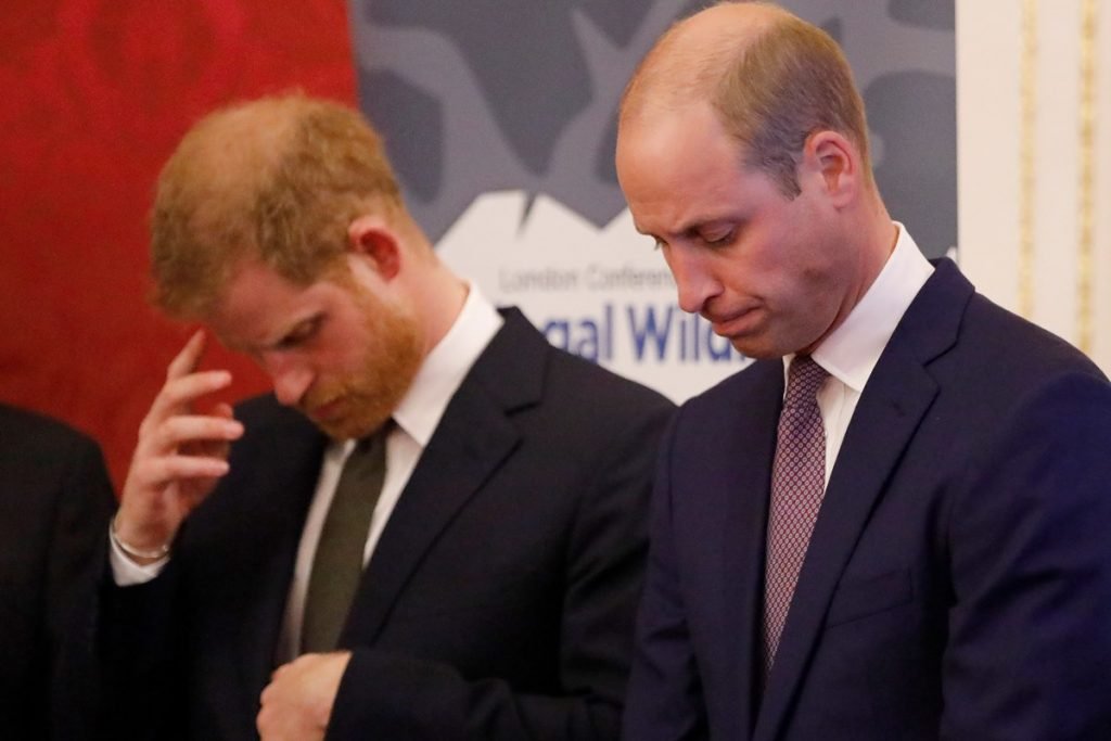 Príncipes Harry e William