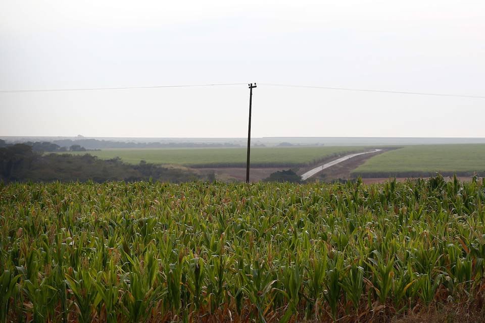 porteirão, em goiás, é a cidade brasileira com maior índice de covid-19 na população