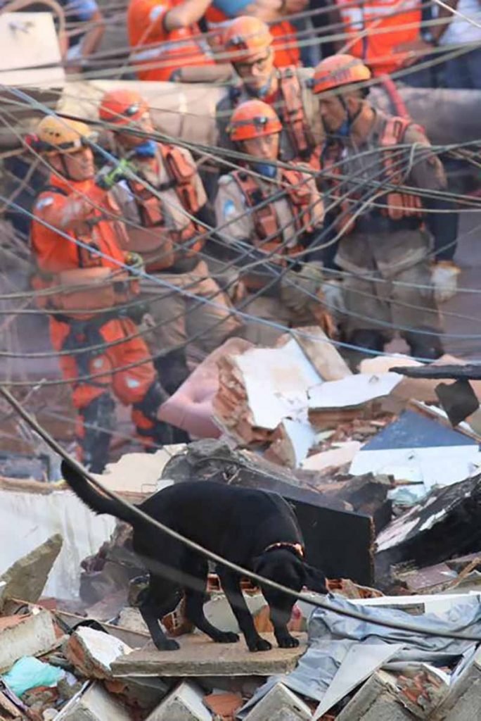 Cão farejador tenta localizar morador soterrado em desabamento na favela de Rio das Pedras