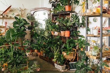 Urban Jungle