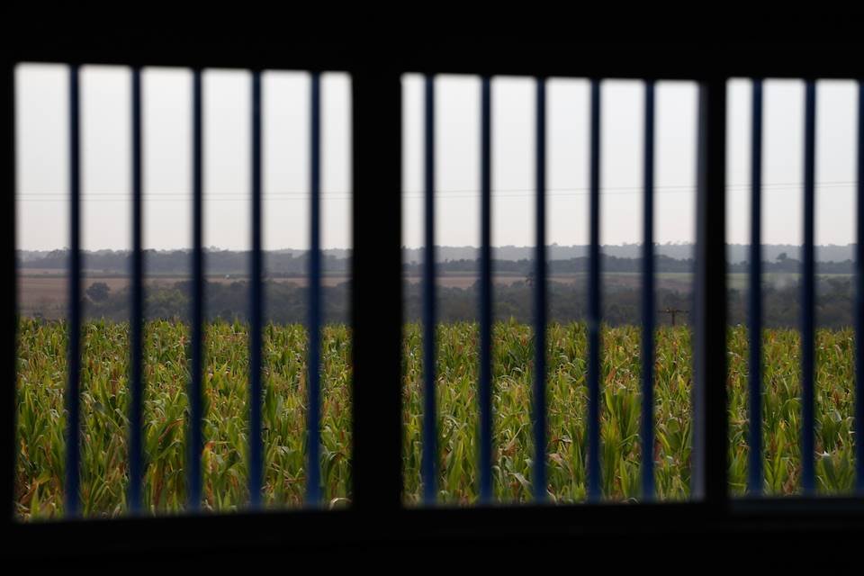 Porteirão, em Goiás, é a cidade brasileira com o maior percentual de casos da covid-19 na população