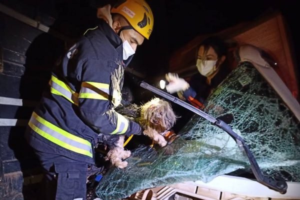 polícia resgata vítimas de acidente entre caminhões na BR-050, em goiás