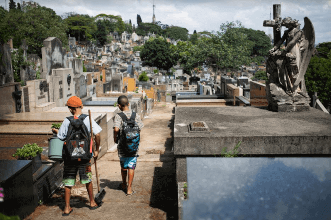 Livro Meninos Malabares