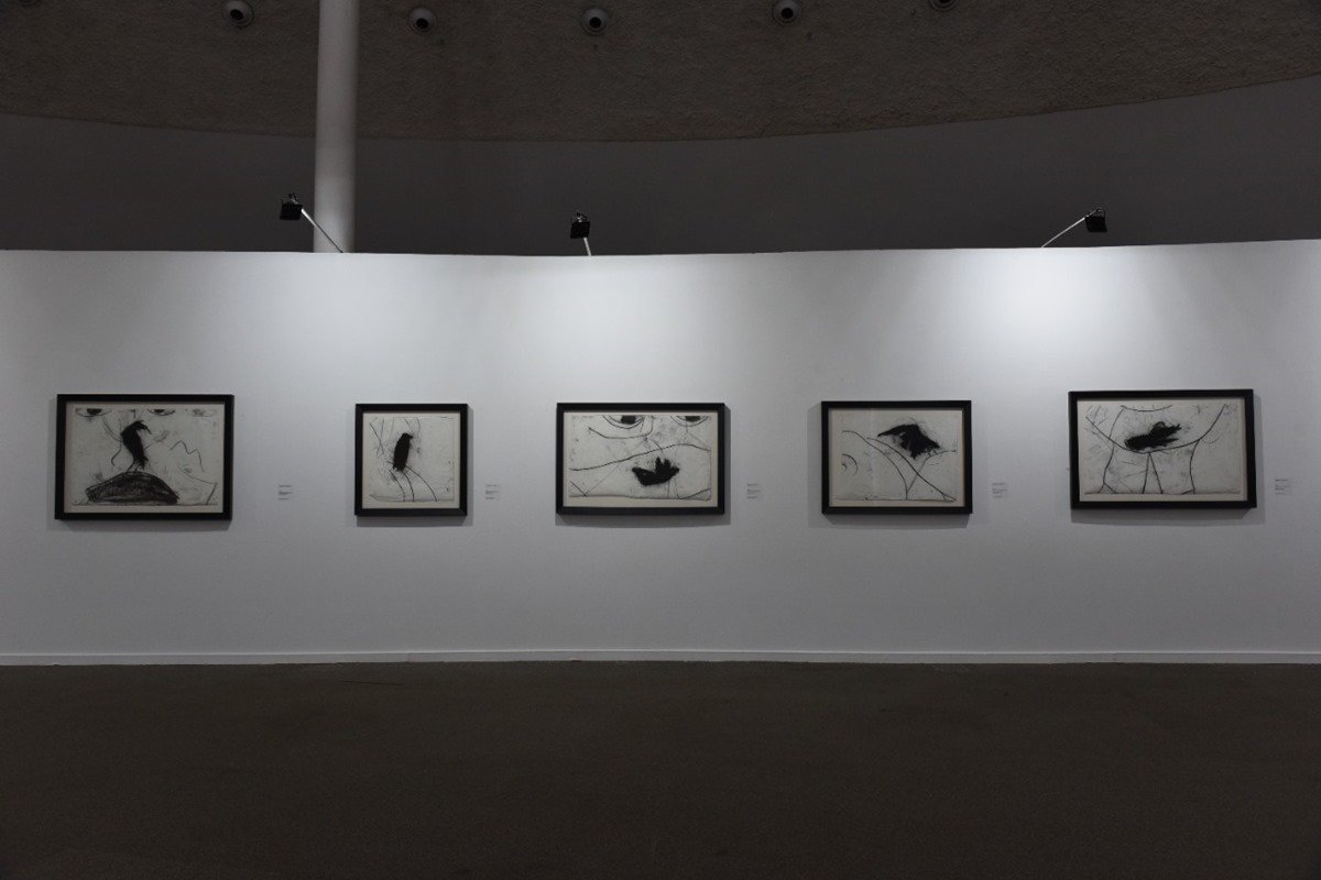 Exposição Marcos Amaro Museu da República