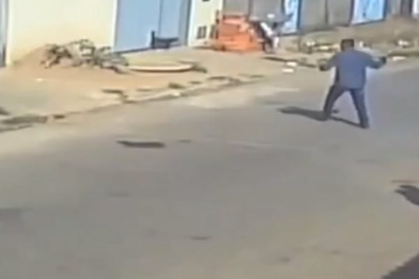 goias homem mata cachorro com pedaço de concreto