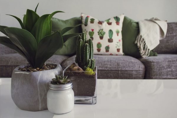 Mais verde e prático: 10 plantas artificiais para decorar a casa |  Metrópoles