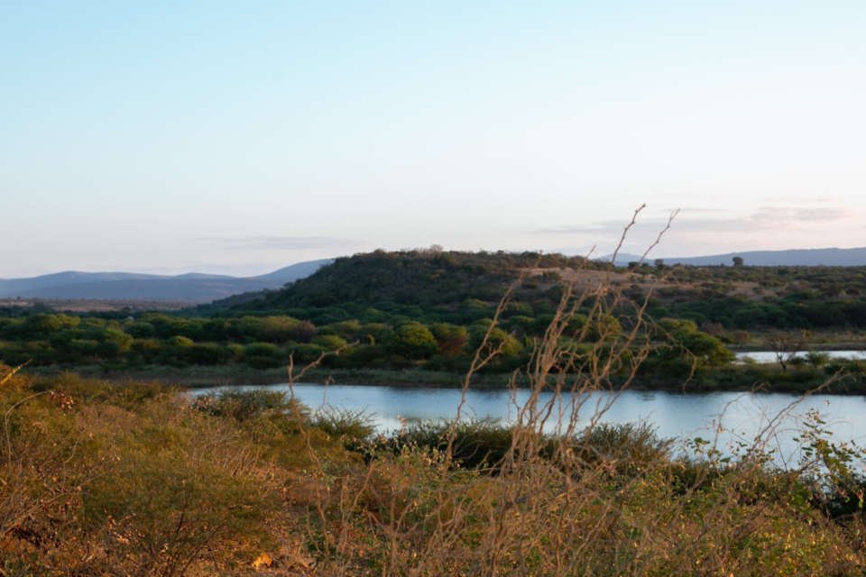 caatinga