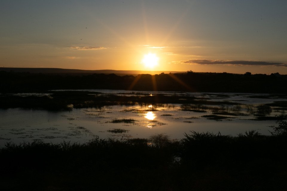 caatinga