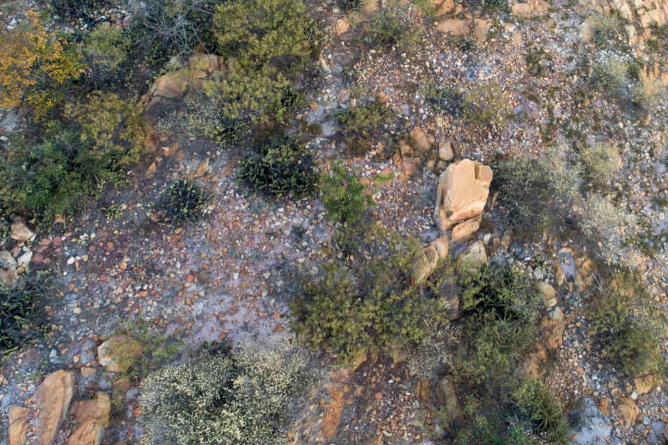 visão aérea caatinga