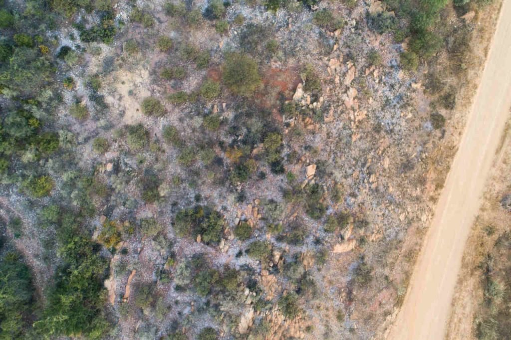 visão aérea caatinga
