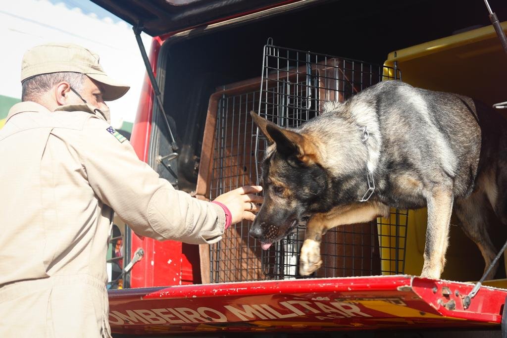 Equipe dos cães do corpo de Bombeiros de Goiás, em frente a base no distrito de Girassol, antes de saírem a campo para mais um dia de buscas.