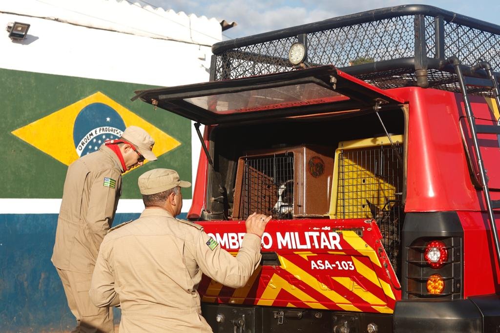 Equipe dos cães do corpo de Bombeiros de Goiás, em frente a base no distrito de Girassol, antes de saírem a campo para mais um dia de buscas.
