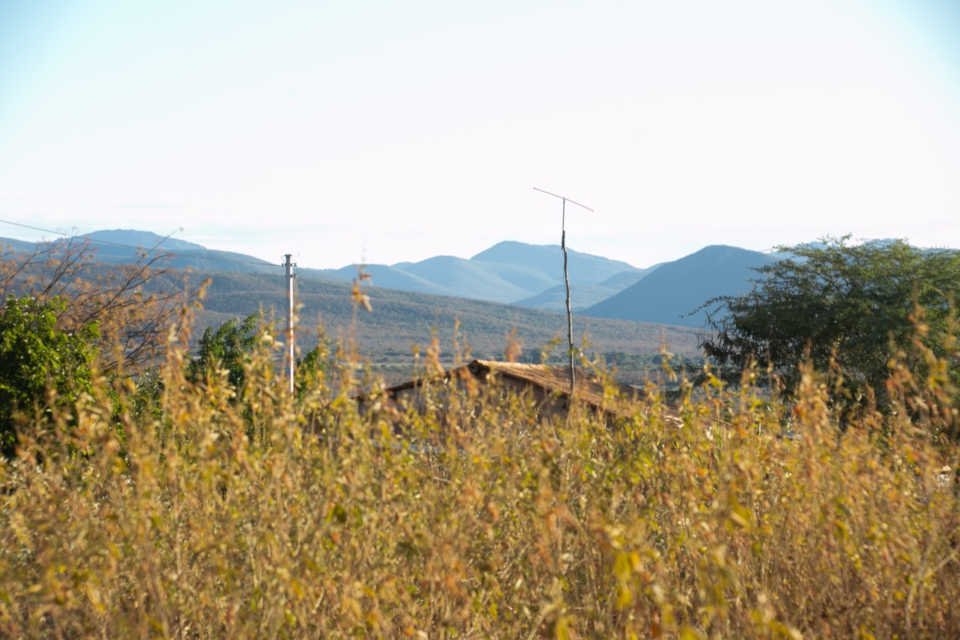 caatinga