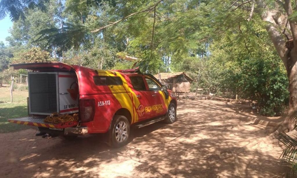 Lobo-guará é resgatado em Goiás
