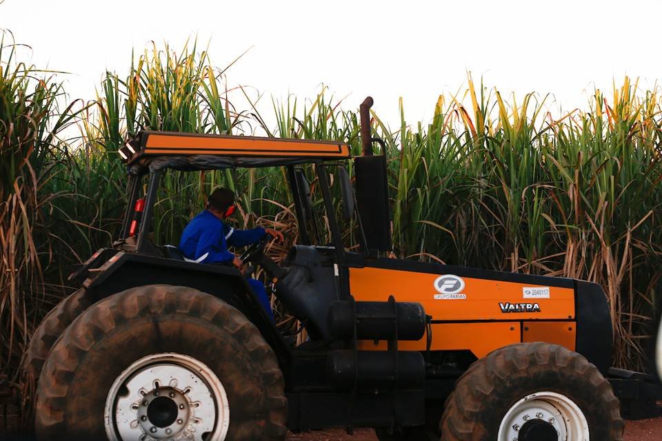 uso irregular de agrotóxicos na alimentação de bovinos em goiás