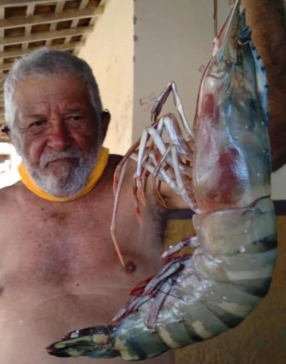 Seu Gabriel pescou camarão gigante na quinta-feira (24/6)