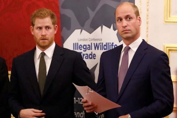 Príncipe Harry e William