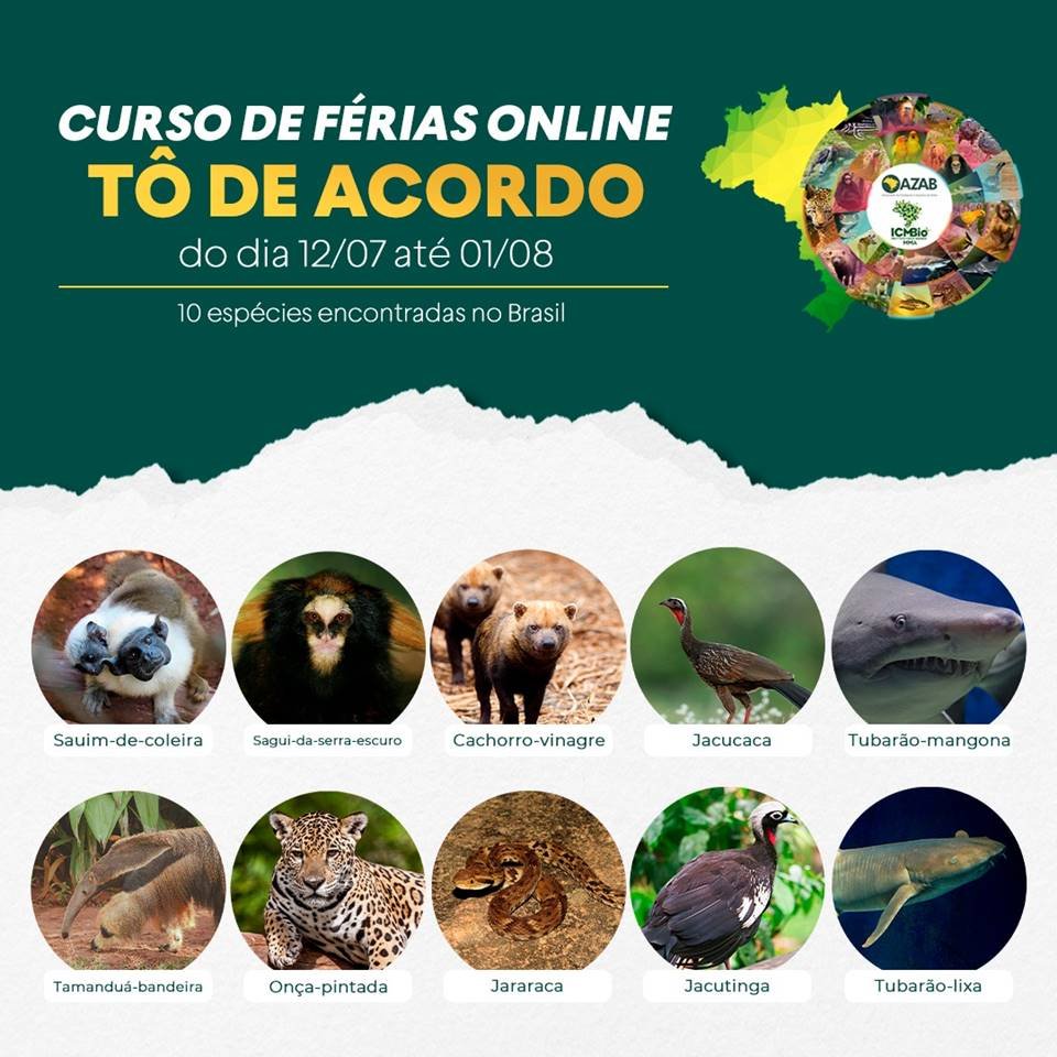 Zoológicos e Aquários do Brasil se unem em programação on-line de férias