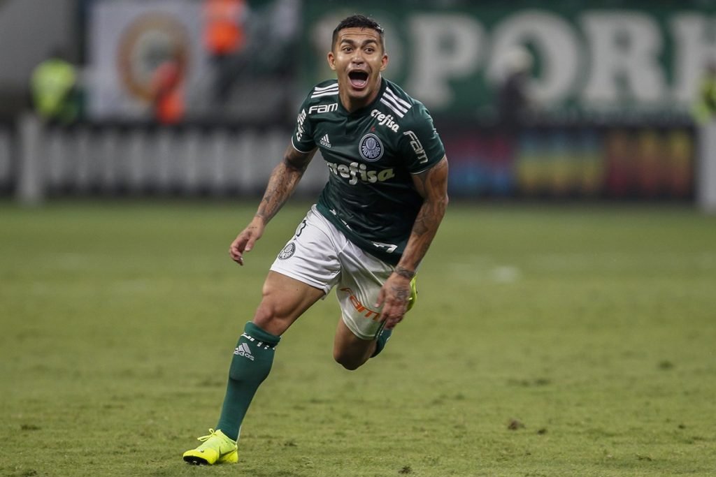 Palmeiras Dudu