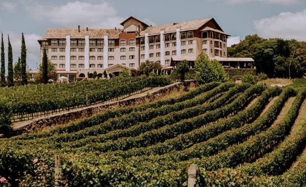 Hotel Spa do Vinho