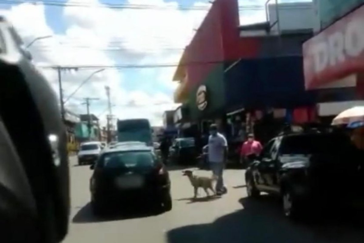 Vídeo cachorro é abandonado em Manaus