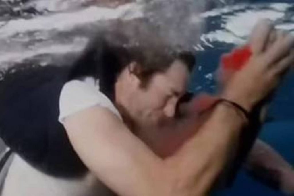 Sean McInerney atacado por tubarão