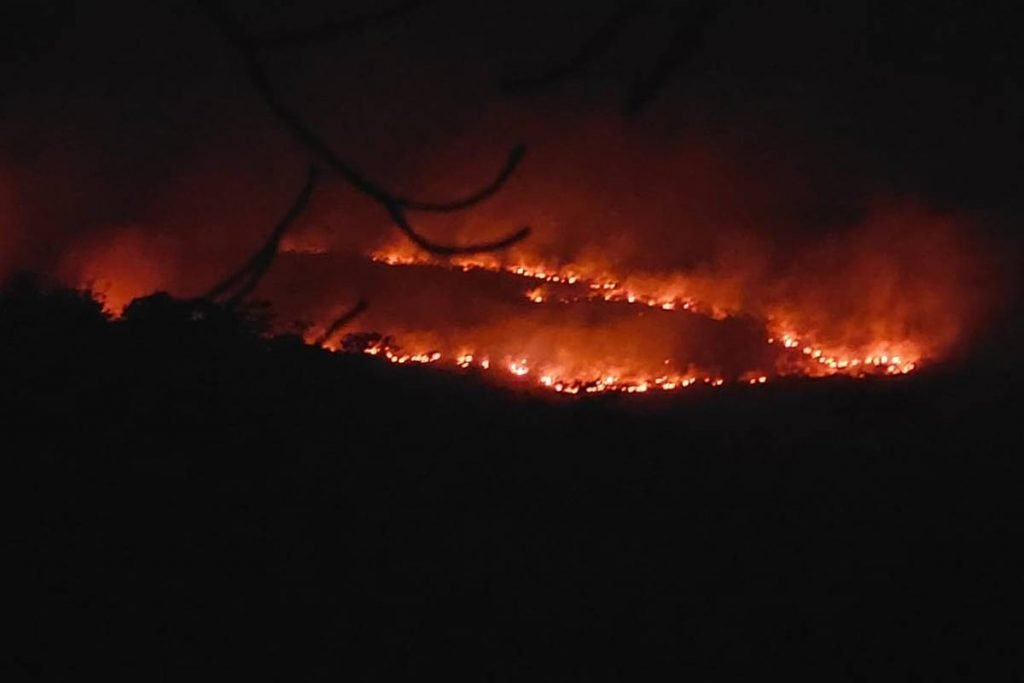 Incêndio de grandes proporções atinge área da chapada dos veadeiros em goiás
