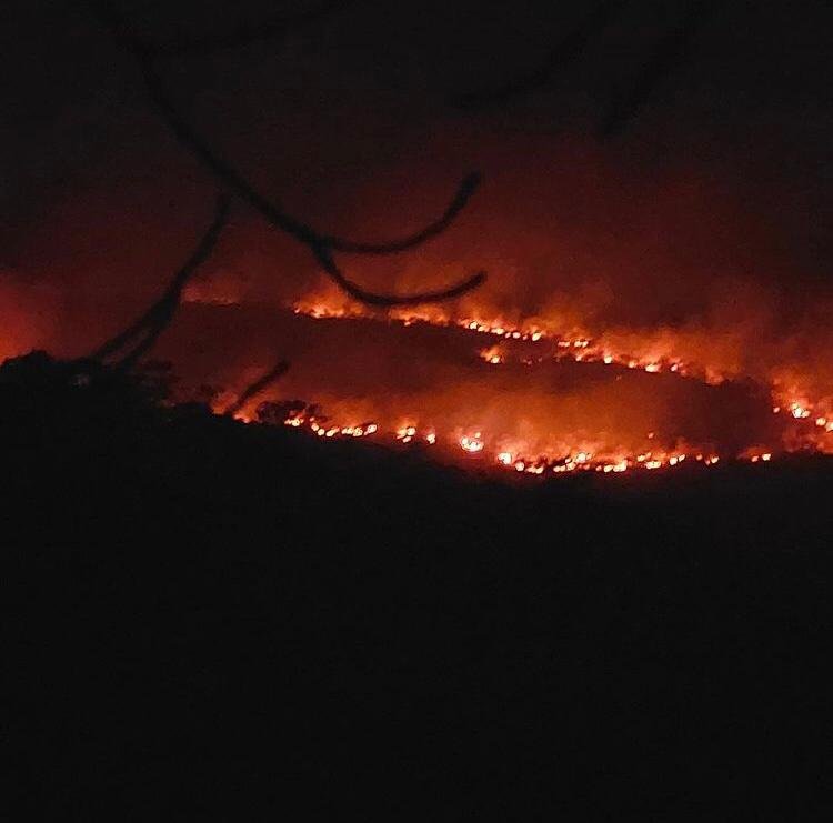 Incêndio Chapada Veadeiros