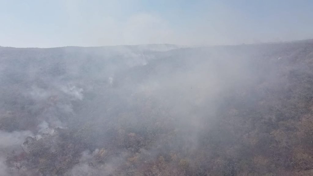 Incêndio Chapada dos Veadeiros