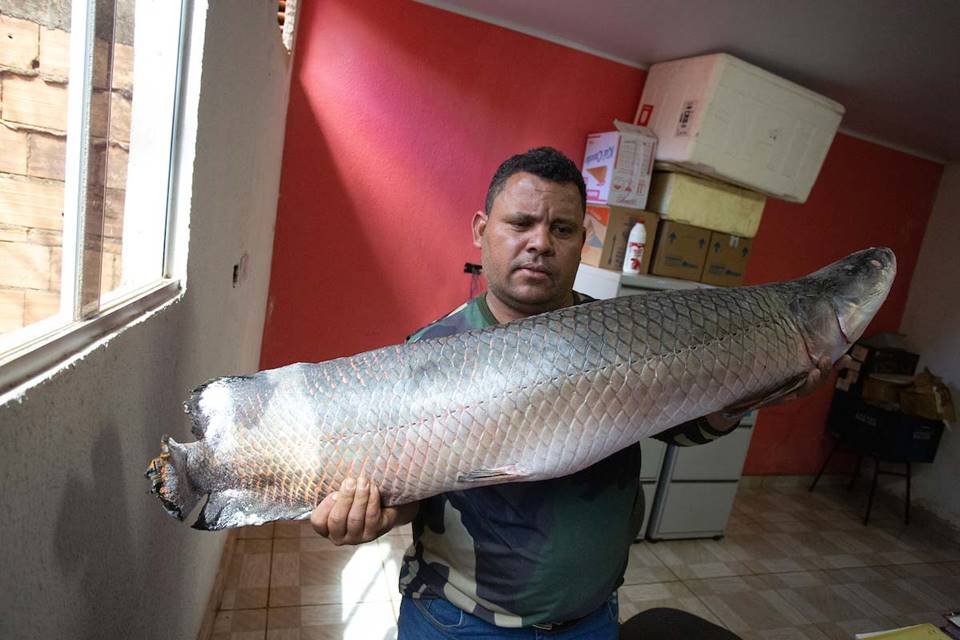crise hídrica e energética, reservatório da usina hidrelétrica de itumbiara enfrenta redução do nível da água, em razão da seca e da estiagem