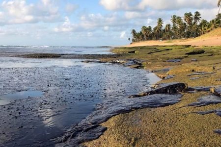oleio praias do nordeste