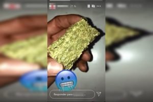 maconha