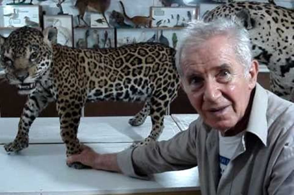 acervo do taxidermista, empalhador de animais, josé hidasi, em goiânia. ele é conhecido internacionalmente pela técnica