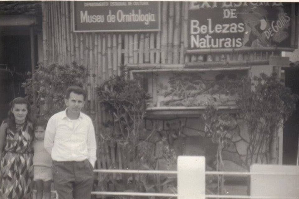 acervo do taxidermista, empalhador de animais, josé hidasi, em goiânia. ele é conhecido internacionalmente pela técnica