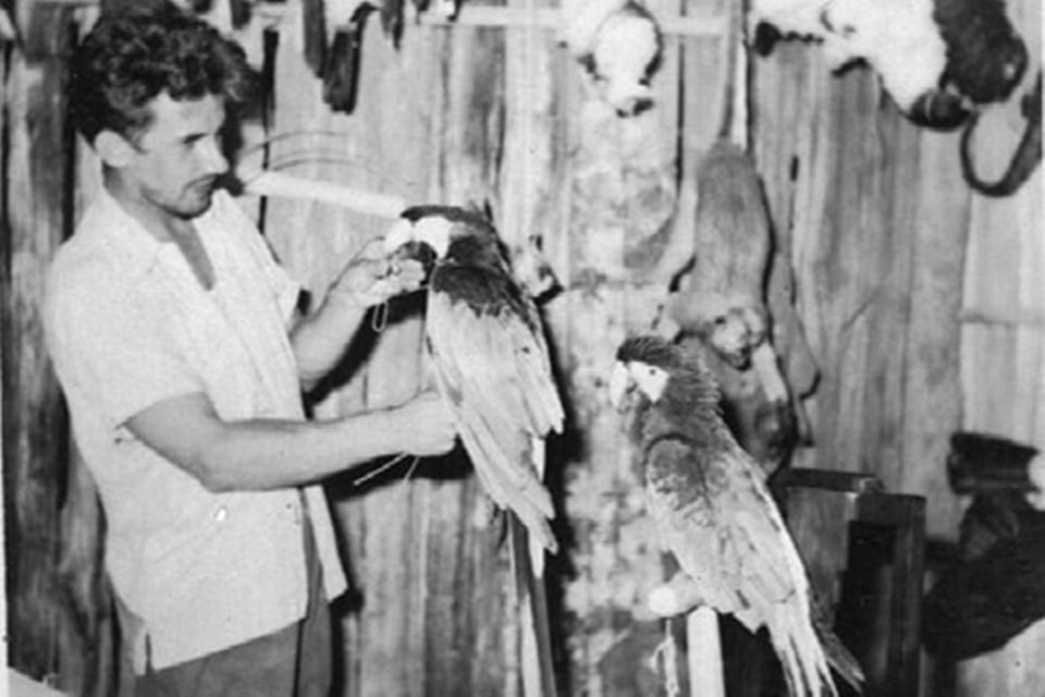 acervo do taxidermista, empalhador de animais, josé hidasi, em goiânia. ele é conhecido internacionalmente pela técnica