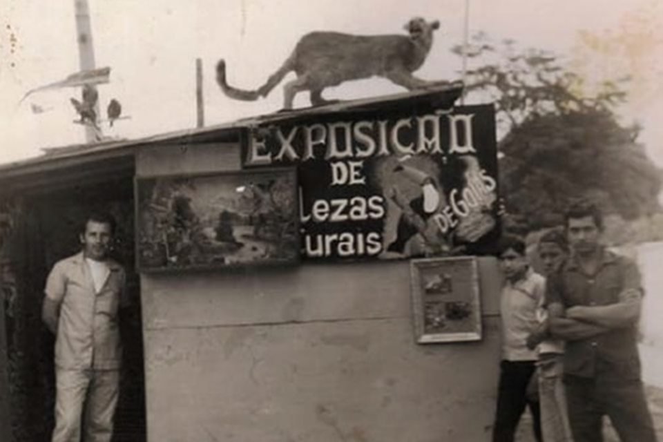 acervo do taxidermista, empalhador de animais, josé hidasi, em goiânia. ele é conhecido internacionalmente pela técnica