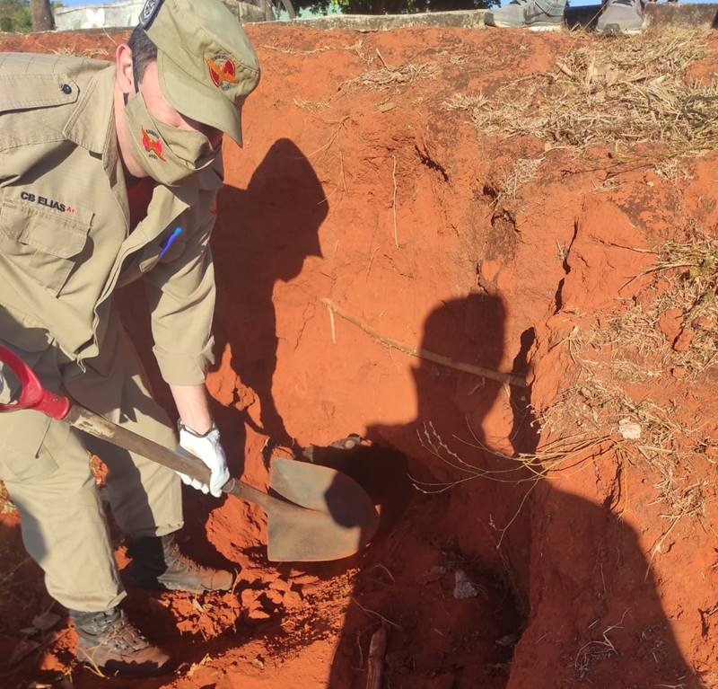 goias cadela e filhos soterrados