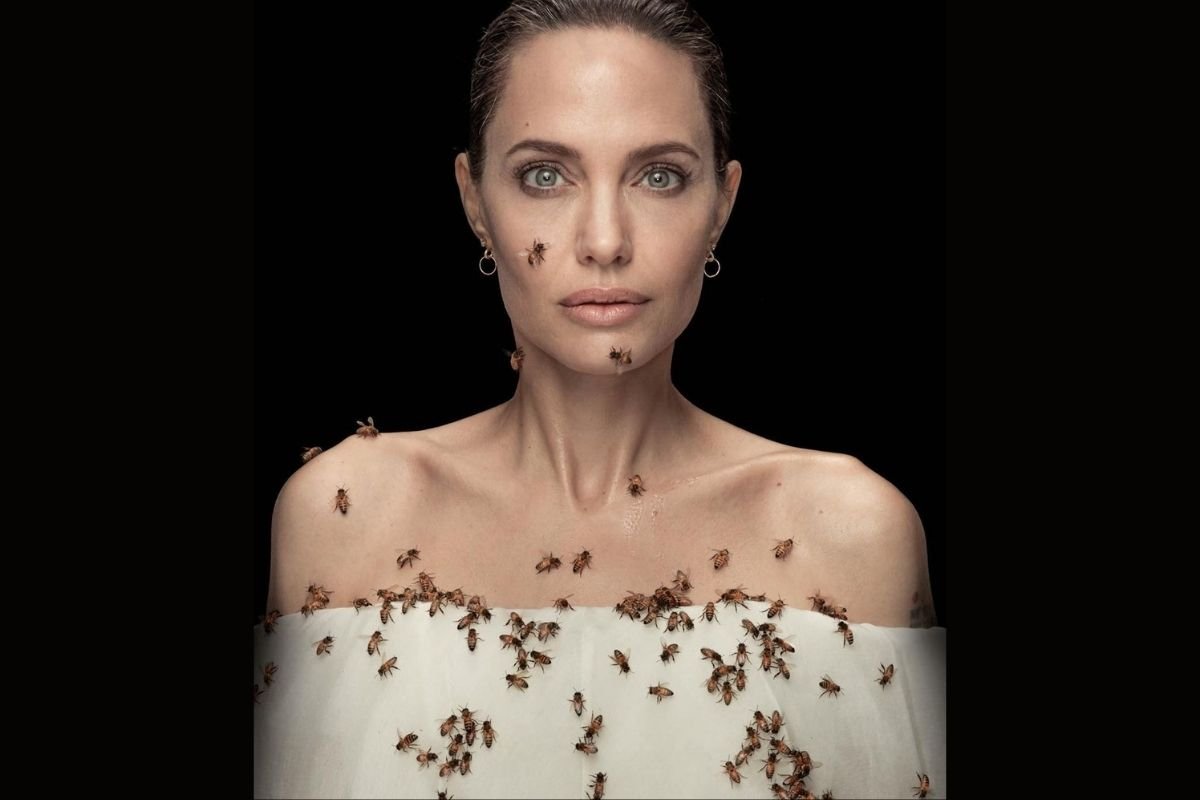 Angelina Jolie e abelhas
