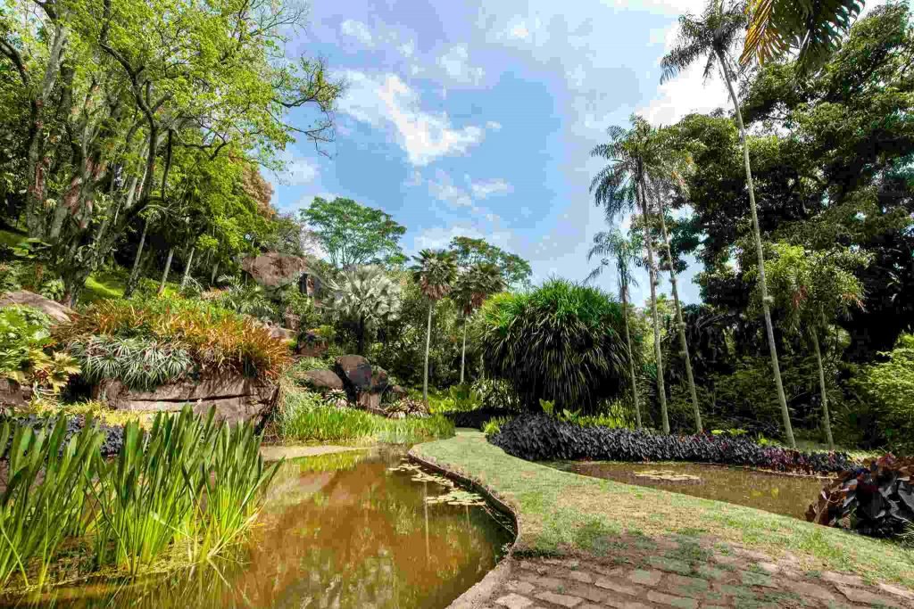 Foram 45 anos reunindo plantas de diversas partes do mundo na propriedade, algumas em risco de extinção