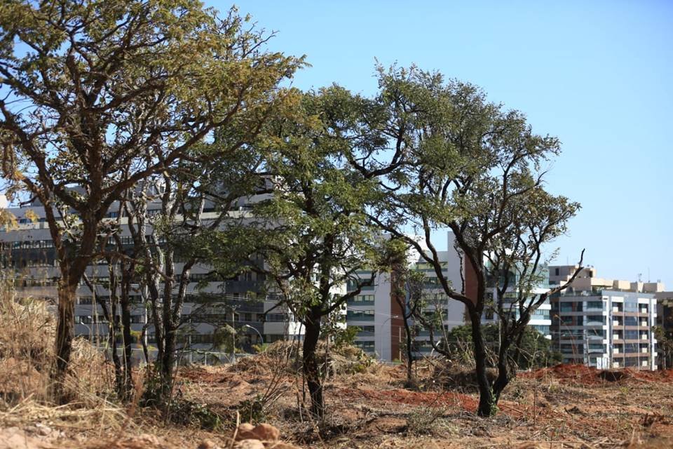 Governador do DF, Ibaneis Rocha, participa da assinatura do início das obras do Park Burle Marx no Noroeste