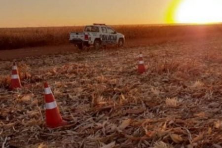ossada encontrada em lavoura em perolândia, no sudoeste goiano