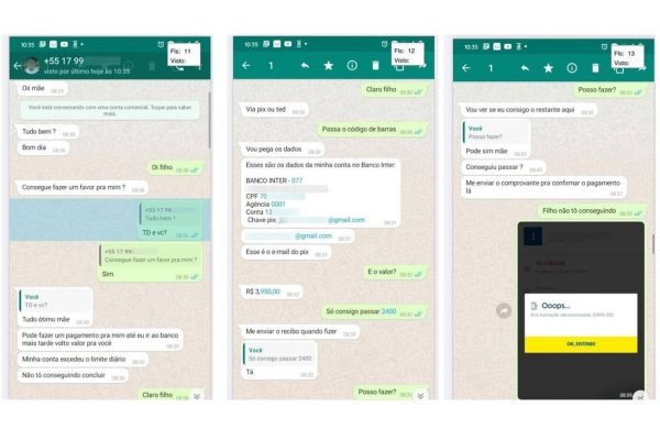 Golpe do WhatsApp: trechos de conversa de golpistas com vítima