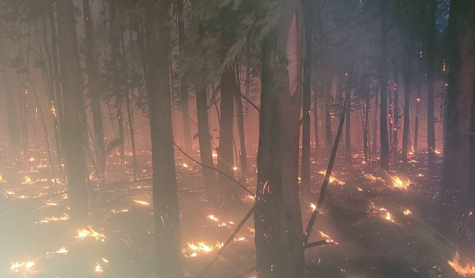 Incendio no Incra