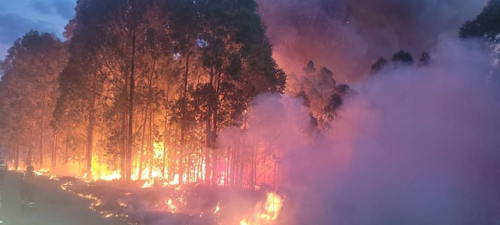 Incêndio de grandes proporções no Incra