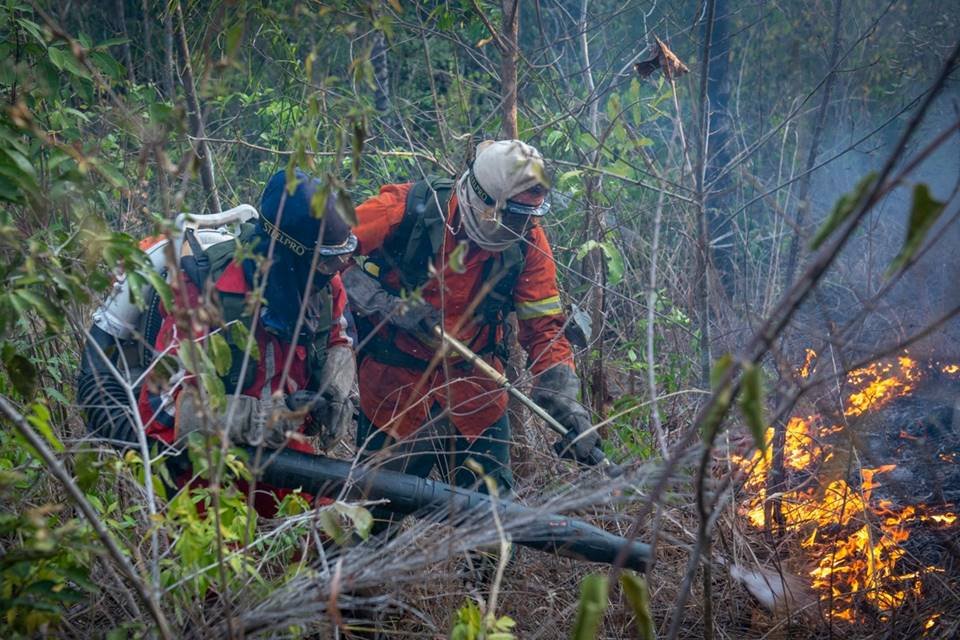 brigadistas voluntários se arriscam e viram noites combatendo o fogo na chapada dos veadeiros